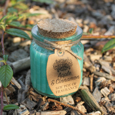 Apple & Cinnamon Soy Pot of Fragrance Candle.