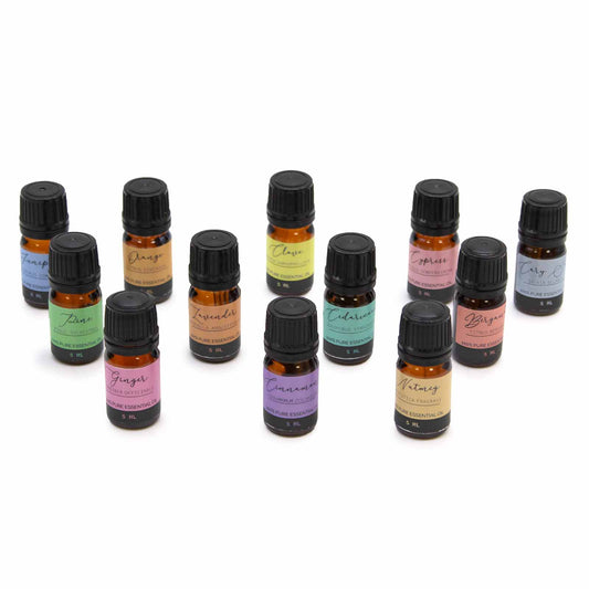 Collection of small essential oil bottles with colorful labels on a white background